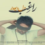 دل دیوونه راغب