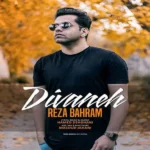 رضا بهرام دیوانه