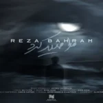 دانلود آهنگ مرا صید کرد رضا بهرام