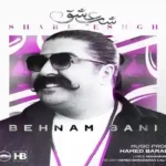 دانلود آهنگ جدید شب عشق از بهنام بانی