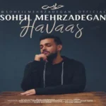 دانلود آهنگ حواس از سهیل مهرزادگان