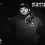 دانلود آهنگ شبیه همه از محمدرضا گلزار