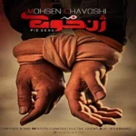 دانلود آهنگ حلالم کن از محسن چاوشی