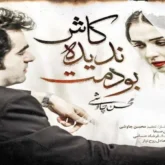 آهنگ کاش ندیده بودمت محسن چاوشی