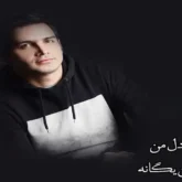 آهنگ آخه دل من محسن یگانه