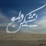 آهنگ نشکن دلمو محسن یگانه