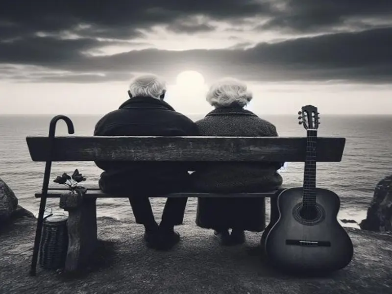 آهنگ تا کی شروین حاجی‌پور