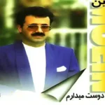 دانلود اهنگ طناز از معین