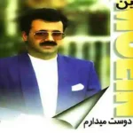 اهنگ یکی را دوست میدارم از معین