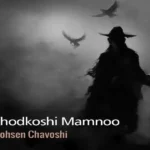 اهنگ برای گریه کردنات یکی دو روزی کافیه محسن چاوشی