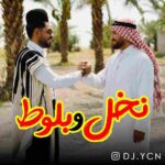 دانلود ریمیکس نخل و بلوط از dj ycn ترند اینستاگرام