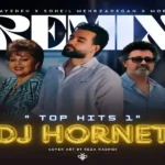 دانلود ریمیکس هایده و سهیل مهرزادگان و معین به نام تاپ هیتس 1