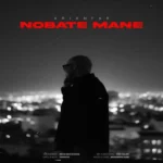 دانلود اهنگ رفتی لا به لای ترکای دلم از آریانفر