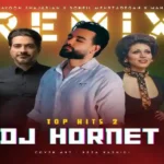 ریمیکس مهستی و سهیل مهرزادگان و همایون شجریان به نام تاپ هیتس 2