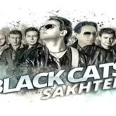 دانلود اهنگ باید بتونم تنها بمونم از بلک کتس