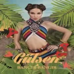 دانلود آهنگ Bangir Bangir Gulsen
