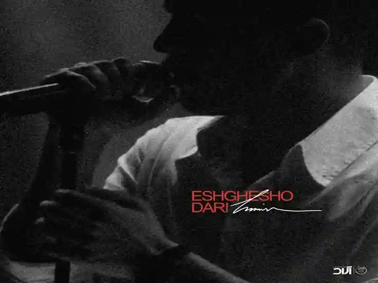 کاور اهنگ حامیم تو عشقشو داری