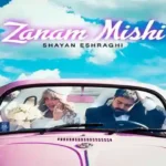 دانلود اهنگ شایان اشراقی زنم میشی
