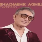 دانلود اهنگ شادمهر عقیلی ممنون